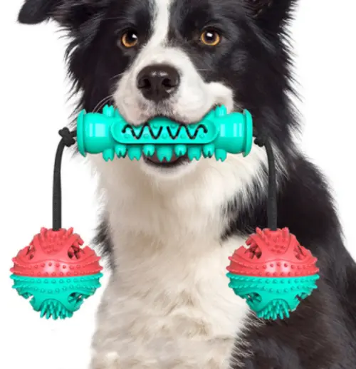Dog Chew Toys Pet Toothbrush Rubber Bones Teeth Cleaning Maroon Asteria