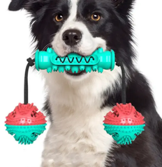 Dog Chew Toys Pet Toothbrush Rubber Bones Teeth Cleaning Maroon Asteria