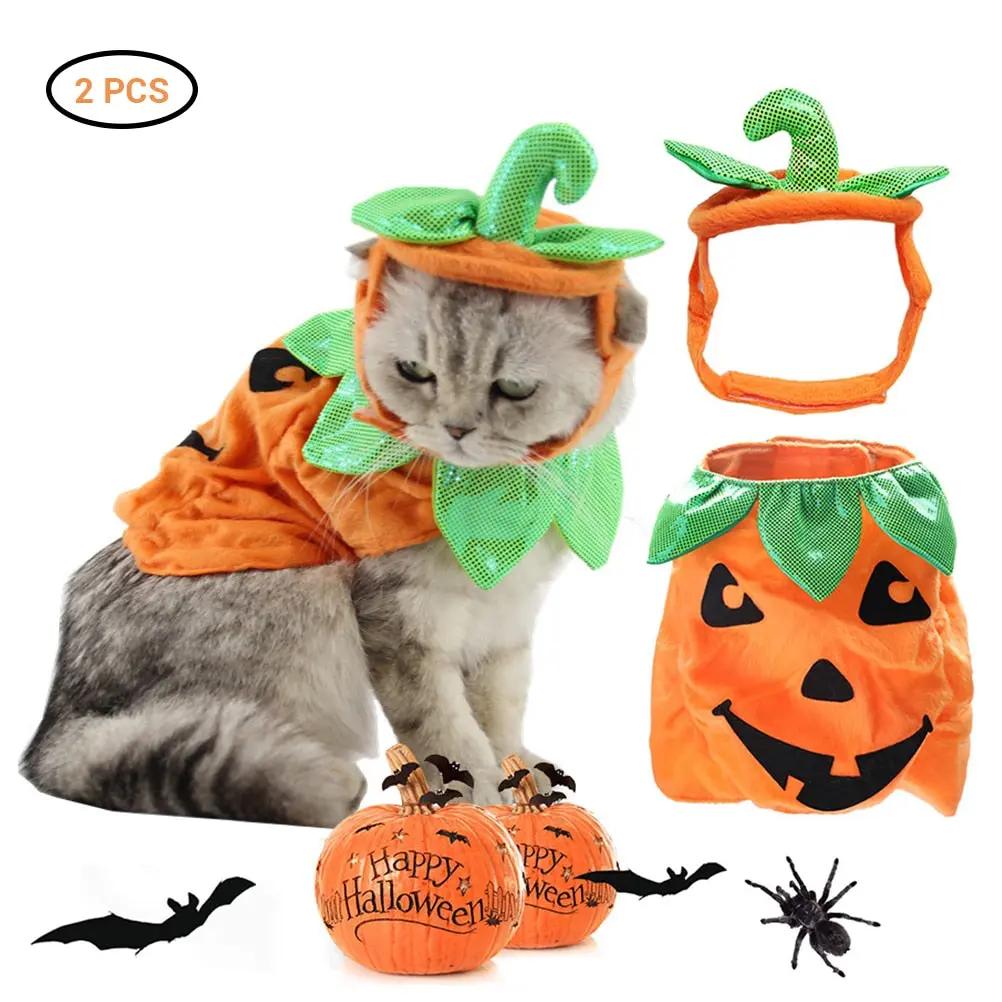 Halloween Pet Cats Costume Props Creative Pumpkin Maroon Asteria