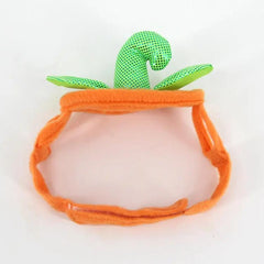 Halloween Pet Cats Costume Props Creative Pumpkin Maroon Asteria