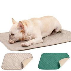 Natural Bamboo Fiber Pet Fixed-point Training Dog Pad Maroon Asteria
