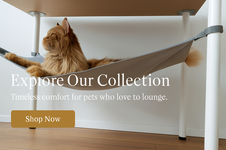 Cat lounging in a hammock with text promoting a pet collection.