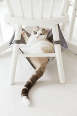 MISTY MOUNTAINS Saveplace® grey hammock for pets & storage Grey Chaos