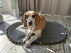 Saveplace® Pet Mat - Various Colors Pom Poms Grey Chaos