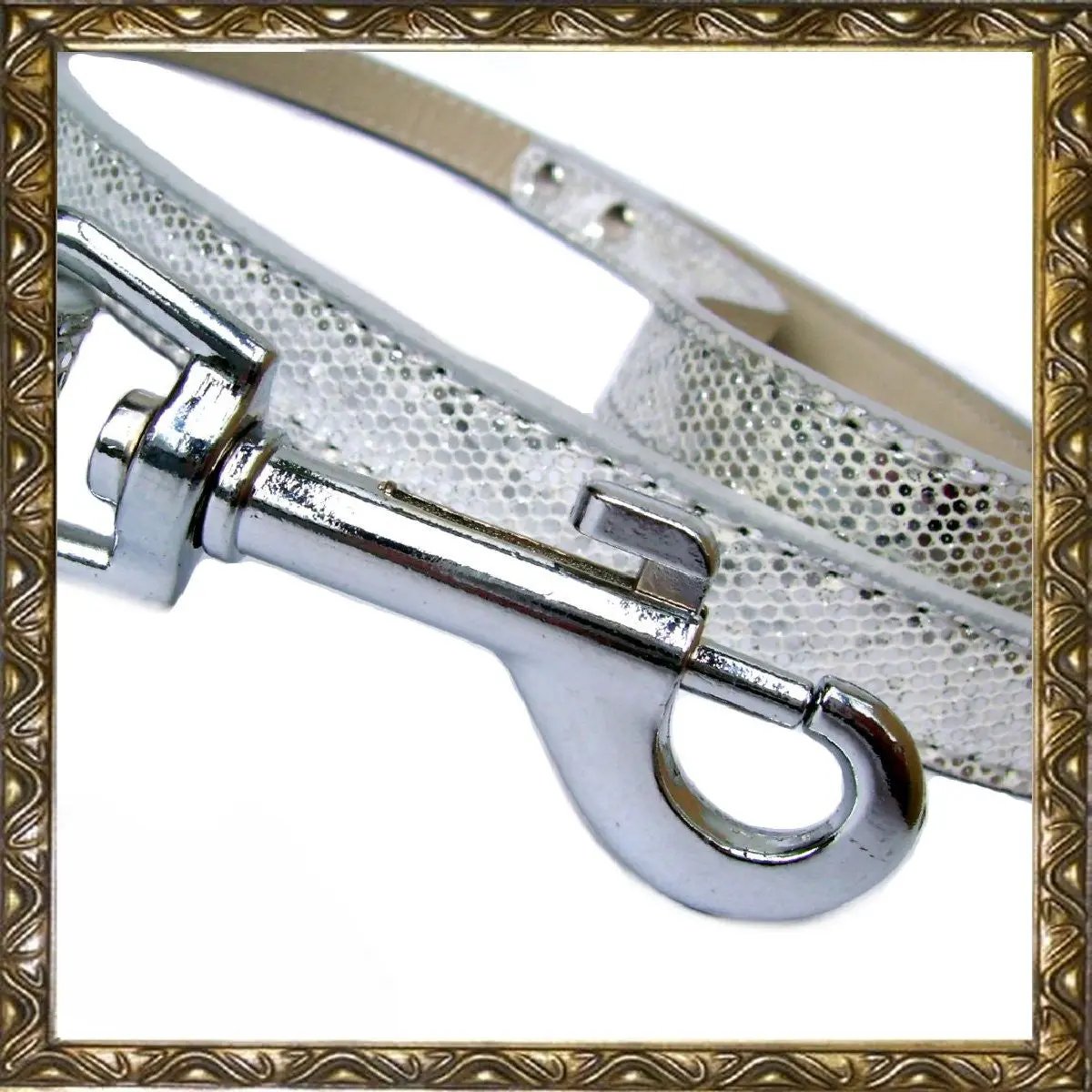 Disco Fever Dog Leads - Medium Salmon Oscar