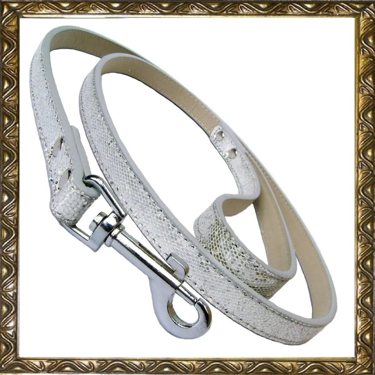 Disco Fever Dog Leads - Medium Salmon Oscar