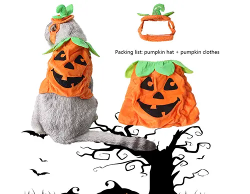 Halloween Pet Cats Costume Props Creative Pumpkin Maroon Asteria