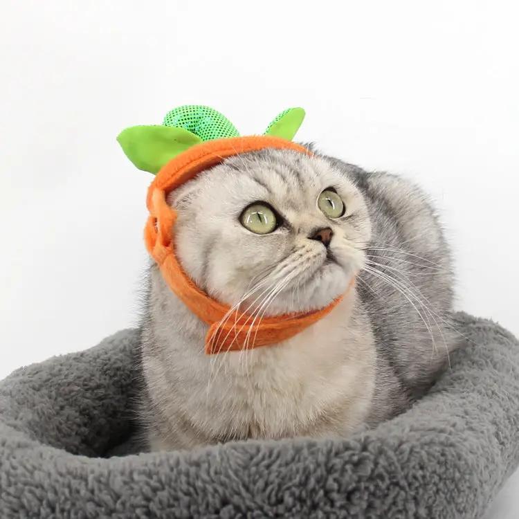 Halloween Pet Cats Costume Props Creative Pumpkin Maroon Asteria