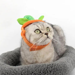 Halloween Pet Cats Costume Props Creative Pumpkin Maroon Asteria