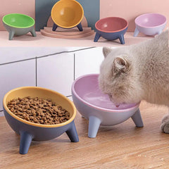 Cat Dog Bowl With Stand Pet Feeding Food Bowls Maroon Asteria