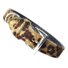 Furry Leopard Print Dog Collar Salmon Oscar