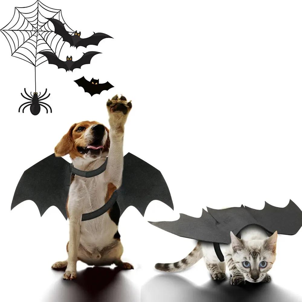 Halloween Pet Bat Wings Costume Cat and Dogs Yellow Pandora
