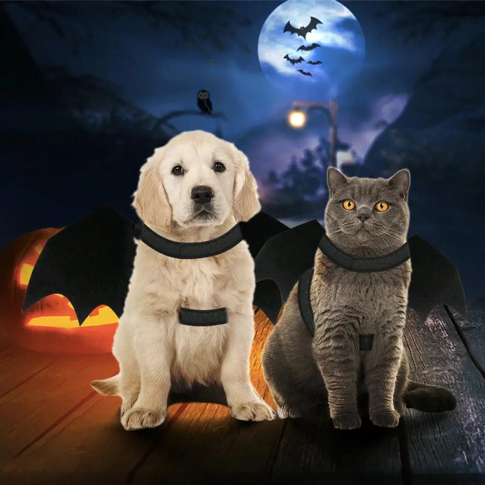 Halloween Pet Bat Wings Costume Cat and Dogs Yellow Pandora