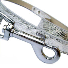 Disco Fever Dog Leads - Medium Salmon Oscar