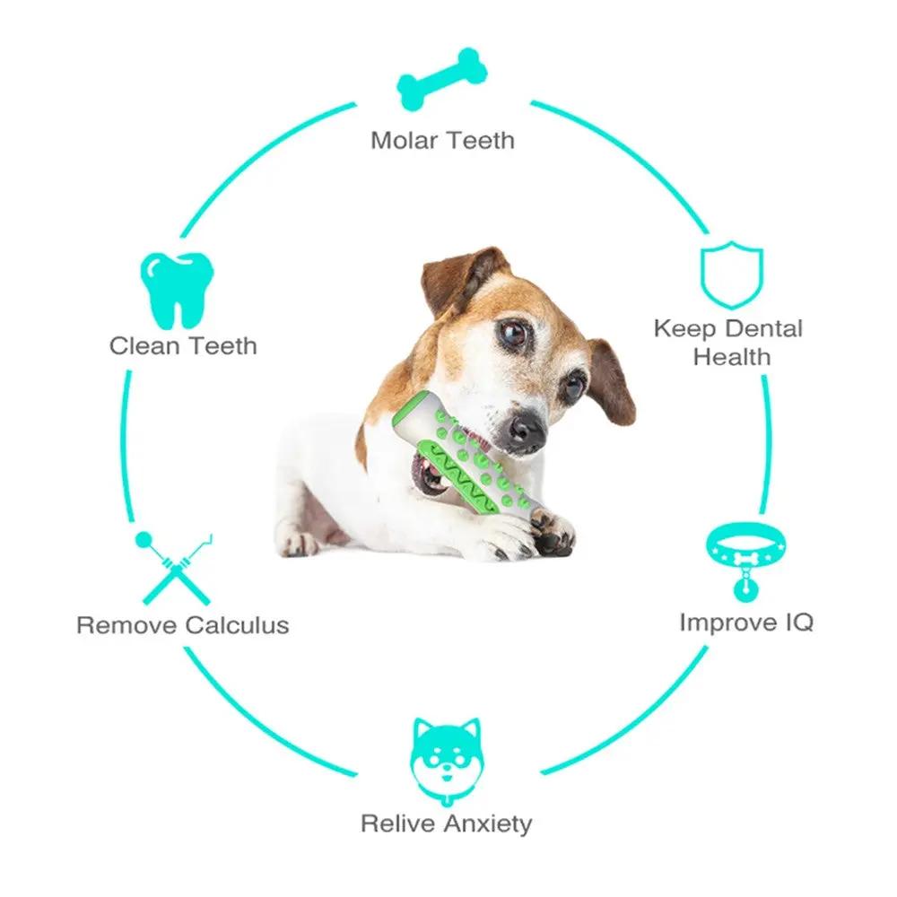 Pet Dog Bone Shape Molar Teeth Cleaner Brushing Stick Interactive Chew Maroon Asteria